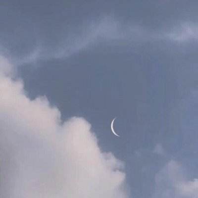 布拉手游下载